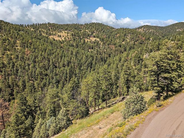 13809 Elsie Road, Conifer, CO 80433