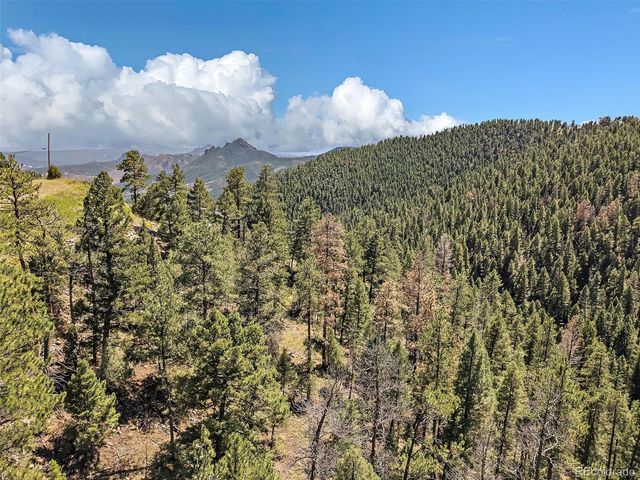 13809 Elsie Road, Conifer, CO 80433