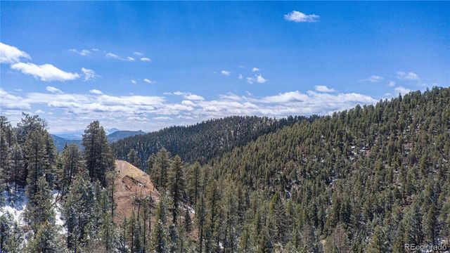 13809 Elsie Road, Conifer, CO 80433