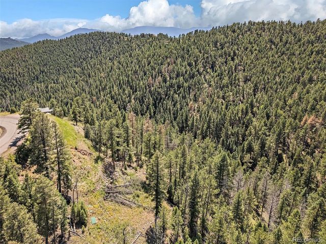 13809 Elsie Road, Conifer, CO 80433