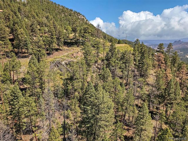 13809 Elsie Road, Conifer, CO 80433