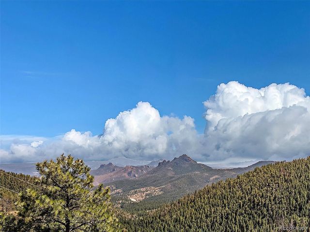 13809 Elsie Road, Conifer, CO 80433