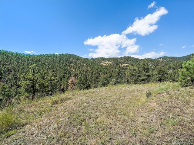 13809 Elsie Road, Conifer, CO 80433