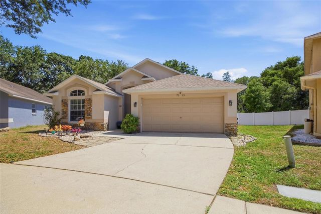 7113 COLONY POINTE DRIVE, Riverview, FL 33578