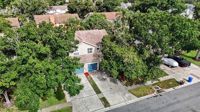 16824 STANZA COURT, Tampa, FL 33624