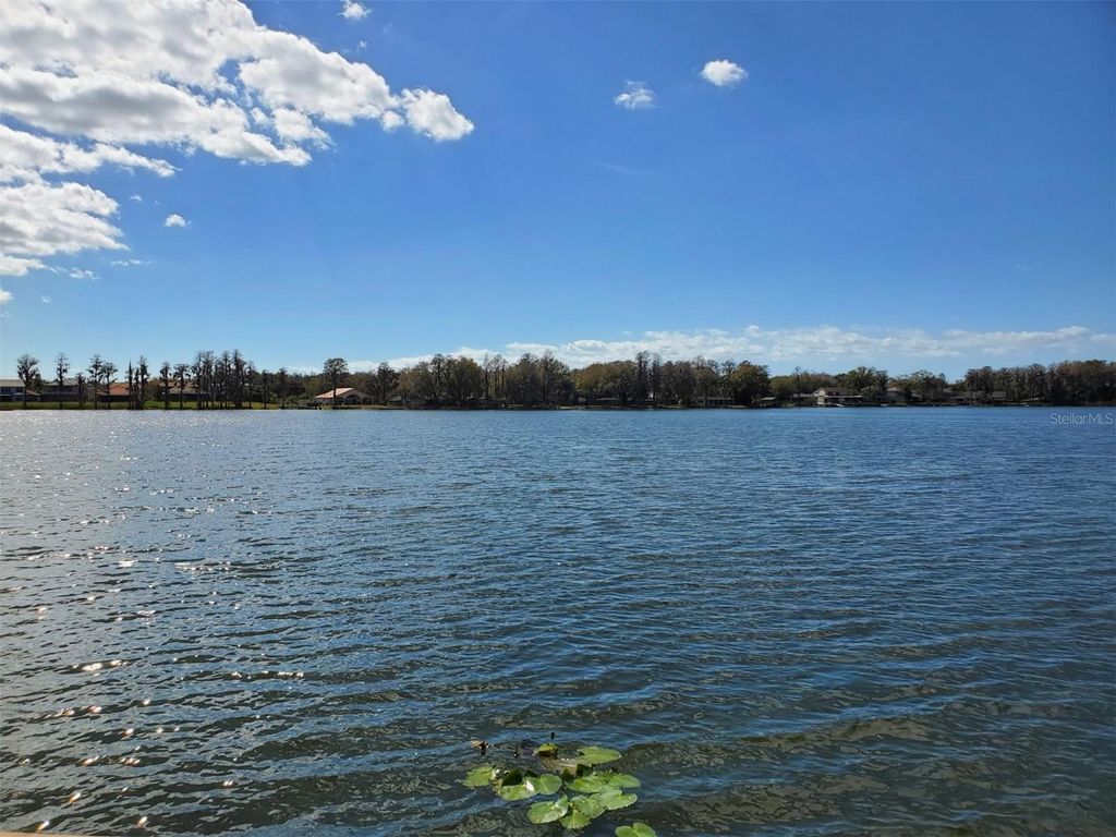 Image 36 of property listing at 16824 STANZA COURT, Tampa, FL 33624
