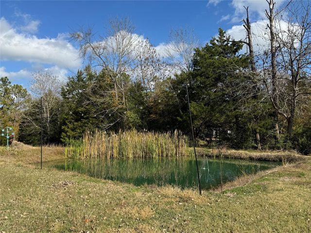 307 Deerwood Drive, Trinity, TX 75862