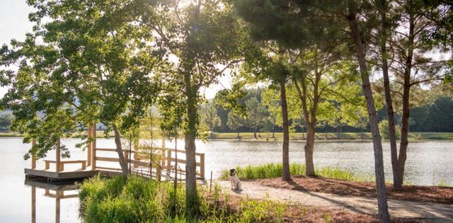 138 Cloverfield Trail Drive, Summerville, SC 29486