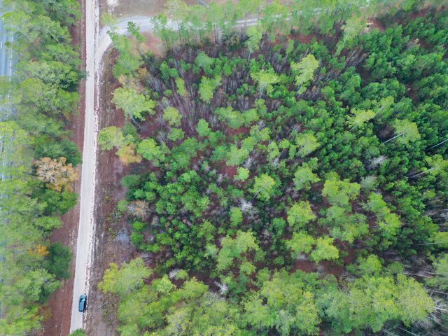 00 Live Oak Road, Ridgeville, SC 29472