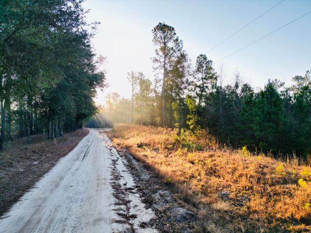 00 Live Oak Road, Ridgeville, SC 29472