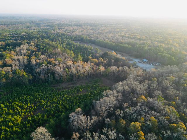 00 Live Oak Road, Ridgeville, SC 29472