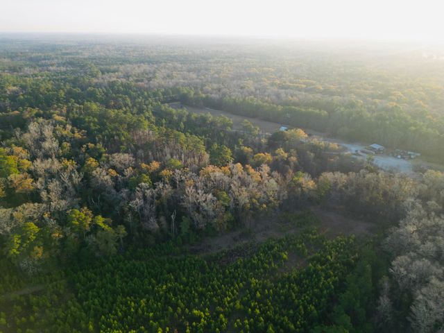 00 Live Oak Road, Ridgeville, SC 29472