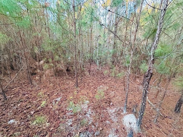 00 Live Oak Road, Ridgeville, SC 29472