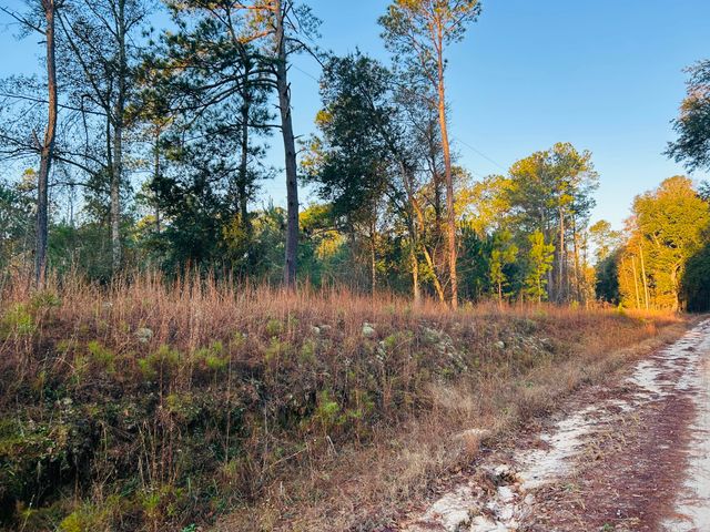 00 Live Oak Road, Ridgeville, SC 29472