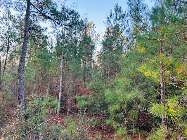 00 Live Oak Road, Ridgeville, SC 29472