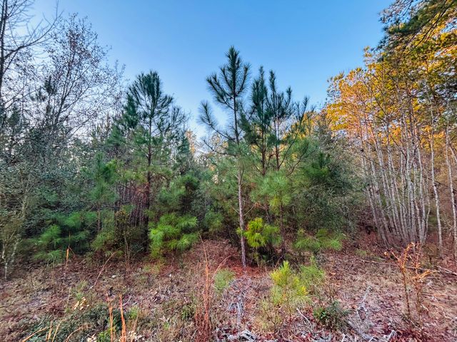 00 Live Oak Road, Ridgeville, SC 29472