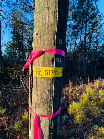 00 Live Oak Road, Ridgeville, SC 29472