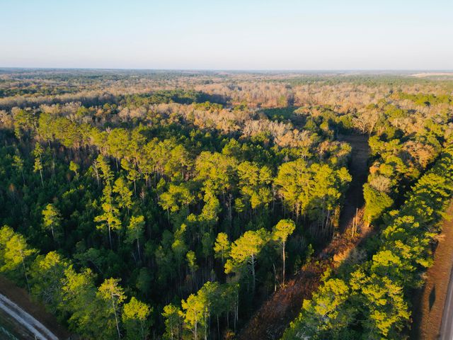 00 Live Oak Road, Ridgeville, SC 29472