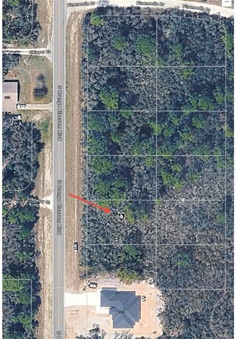 9784 S ORANGE BLOSSOM BOULEVARD, Sebring, FL 33875