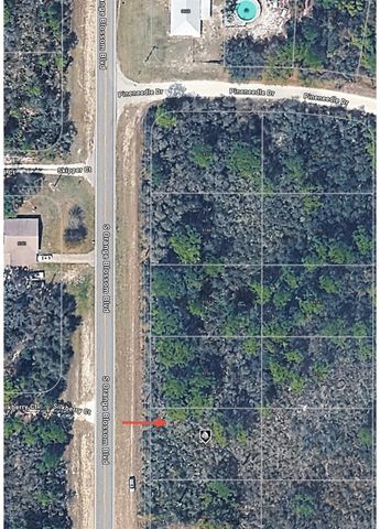 9784 S ORANGE BLOSSOM BOULEVARD, Sebring, FL 33875