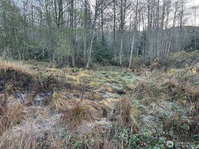 9999 Lot 8 Black Bear Trail, Port Angeles, WA 98362
