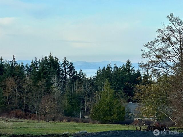 9999 Lot 8 Black Bear Trail, Port Angeles, WA 98362