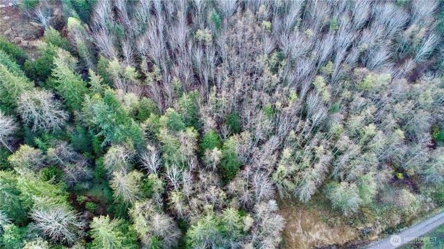 9999 Lot 8 Black Bear Trail, Port Angeles, WA 98362