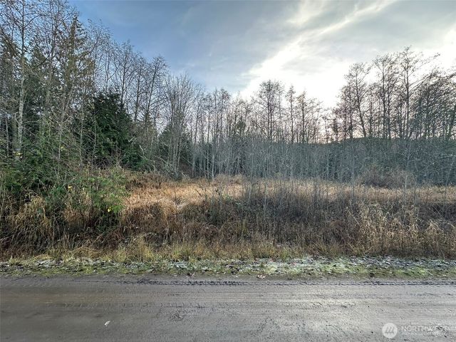 9999 Lot 8 Black Bear Trail, Port Angeles, WA 98362