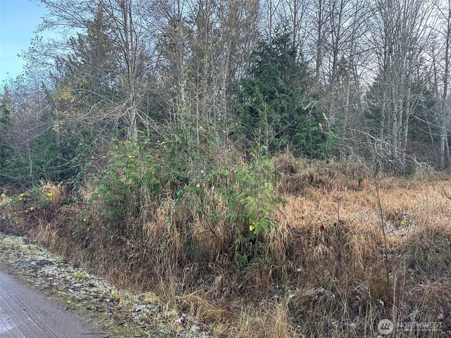 9999 Lot 8 Black Bear Trail, Port Angeles, WA 98362