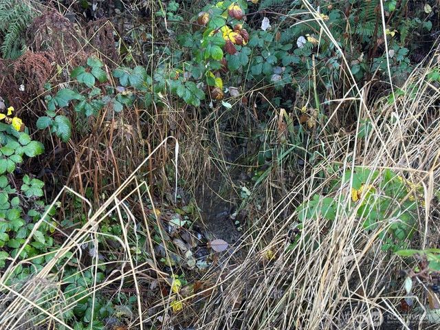 9999 Lot 8 Black Bear Trail, Port Angeles, WA 98362