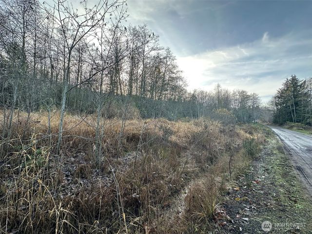 9999 Lot 8 Black Bear Trail, Port Angeles, WA 98362