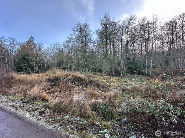 9999 Lot 8 Black Bear Trail, Port Angeles, WA 98362