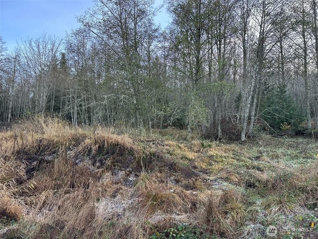 9999 Lot 8 Black Bear Trail, Port Angeles, WA 98362