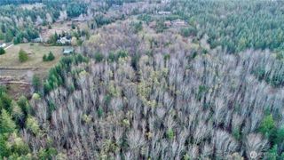 9999 Lot 8 Black Bear Trail, Port Angeles, WA 98362