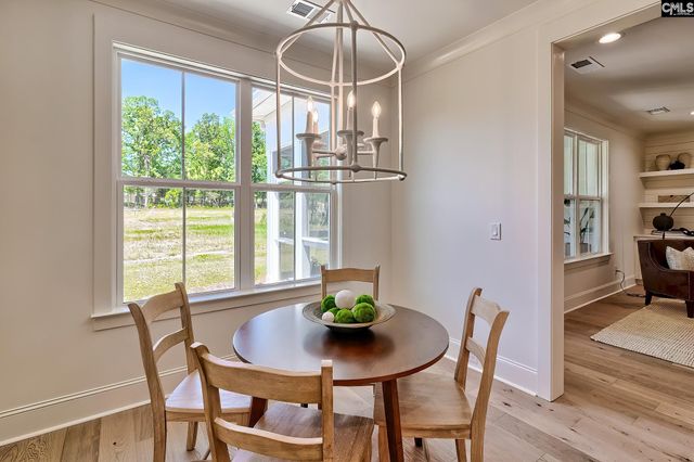 912 Salisbury Court, Chapin, SC 29036