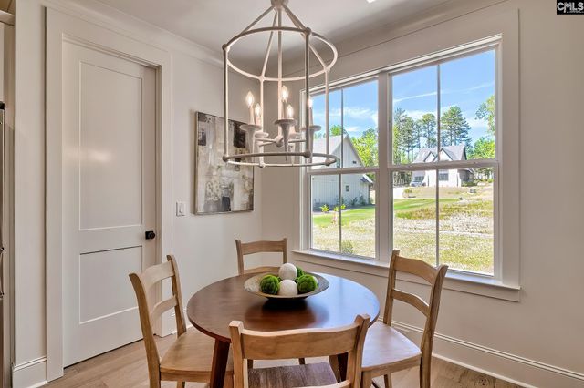 912 Salisbury Court, Chapin, SC 29036