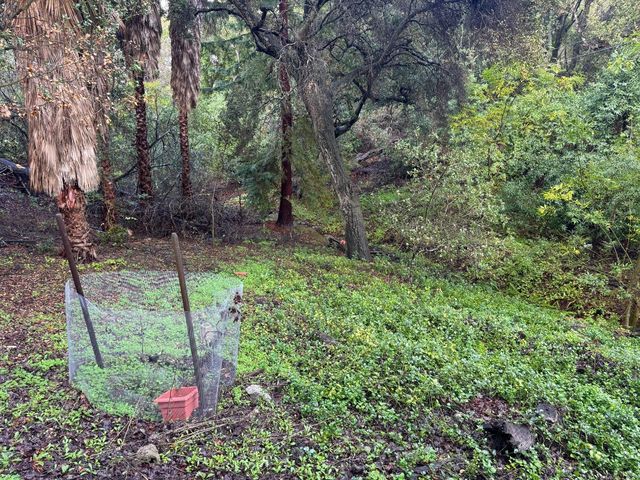 15050 Oriole Road, Saratoga, CA 95070