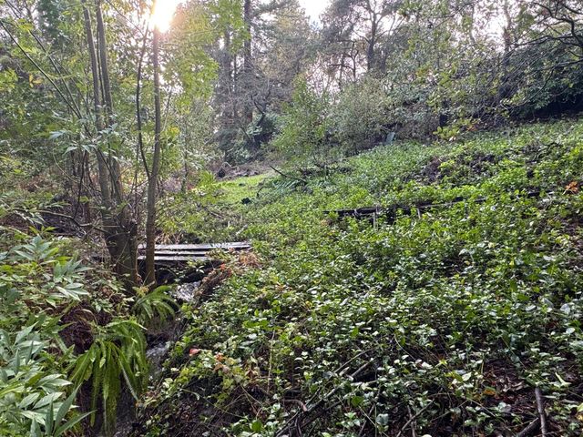 15050 Oriole Road, Saratoga, CA 95070