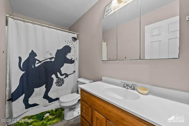 11706 E Jenny Circle, Palmer, AK 99645
