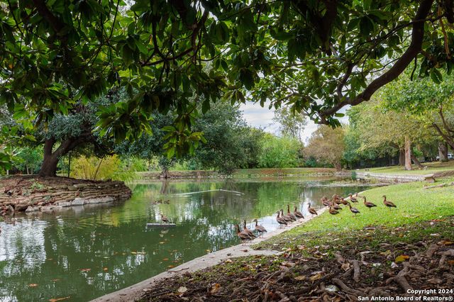 7711 Callaghan Rd Apt 104, San Antonio, TX 78229