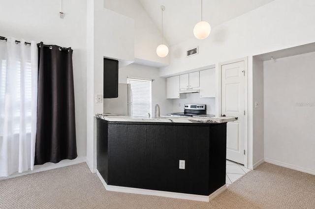 10436 WHITE LAKE COURT 10436, Tampa, FL 33626
