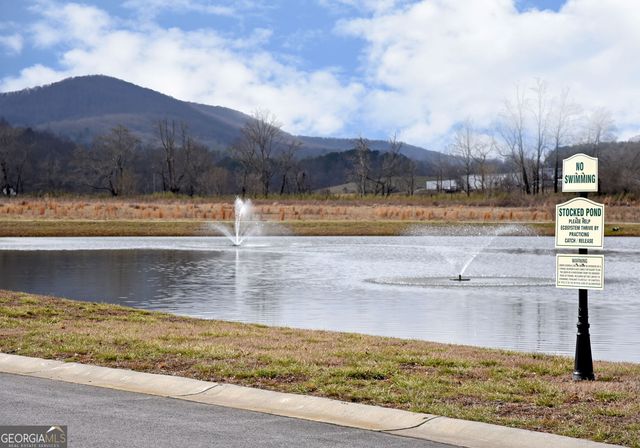 LT 278 Foggy Mountain Road, Blairsville, GA 30512