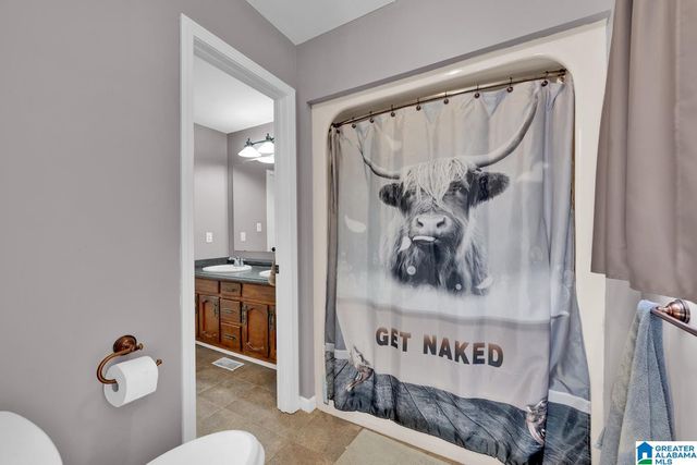 1705 HAGOOD MTN ROAD, Morris, AL 35116