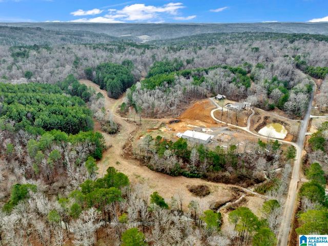 1705 HAGOOD MTN ROAD, Morris, AL 35116