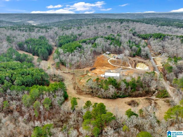 1705 HAGOOD MTN ROAD, Morris, AL 35116