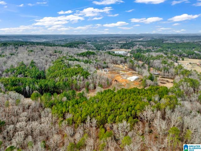 1705 HAGOOD MTN ROAD, Morris, AL 35116