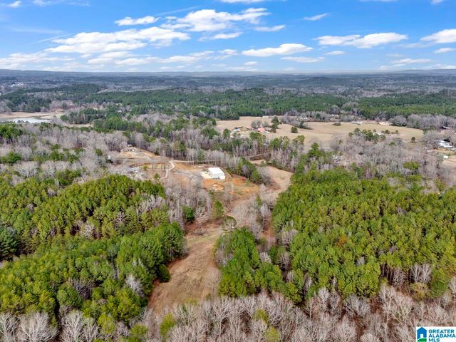 1705 HAGOOD MTN ROAD, Morris, AL 35116