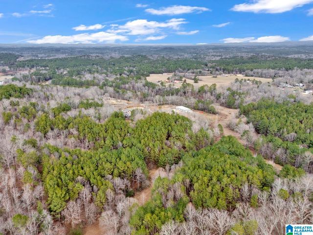 1705 HAGOOD MTN ROAD, Morris, AL 35116