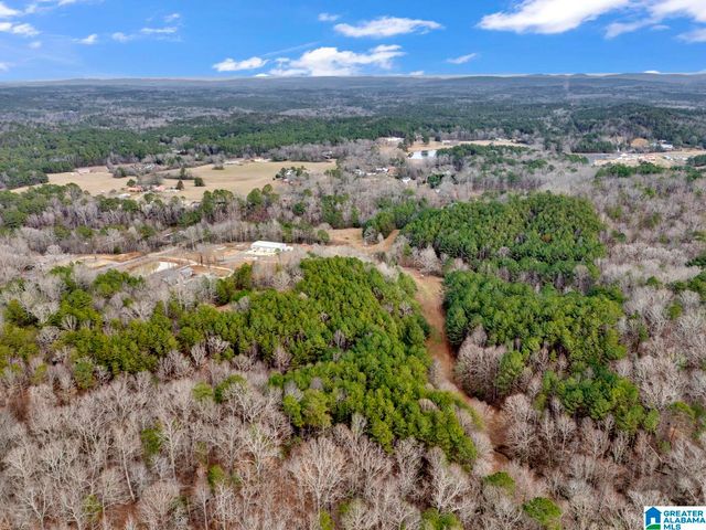 1705 HAGOOD MTN ROAD, Morris, AL 35116