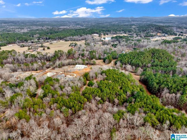 1705 HAGOOD MTN ROAD, Morris, AL 35116